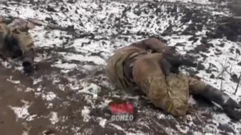 🇷🇺🇺🇦 The closer to Soledar, the more Ukrainian corpses