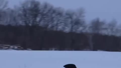 Crotch Rocket Ghost Ride Off Big Jump!