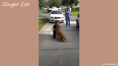 Animals That Do Not Forget Their Owner After Years #