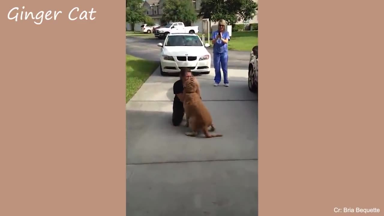 Animals That Do Not Forget Their Owner After Years #