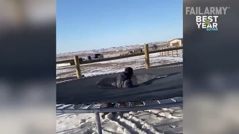 best fail of the year