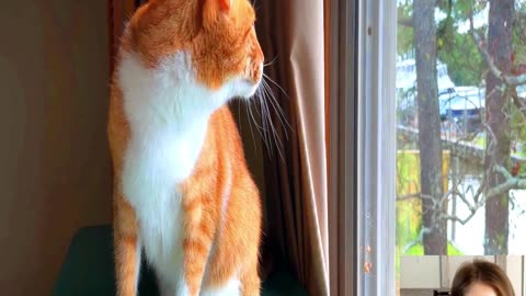 Mornings with Marlin the Cat-Dog! Calm & Peaceful CAT moments. Sweet, snoozing, & bird watching.