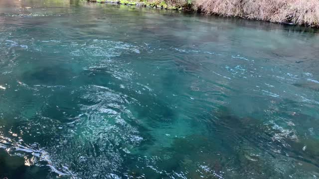 The Distinct Color of Metolius River – Central Oregon