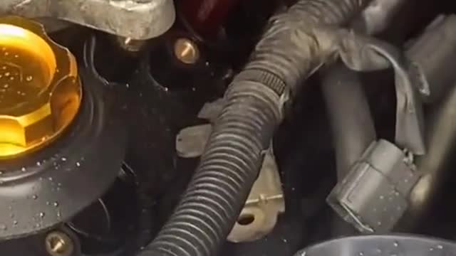 Did the lighter suck up the spark plug?