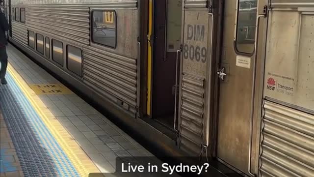 Live in Sydney? Next week you will travel fare-free in a bid by NSW