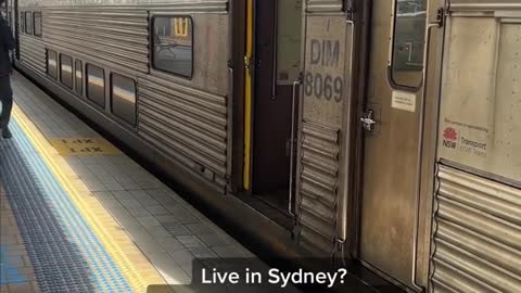 Live in Sydney? Next week you will travel fare-free in a bid by NSW