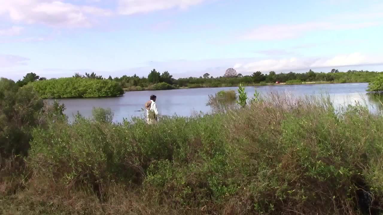 Tarpon Frustration at Pine Island Conservation Area