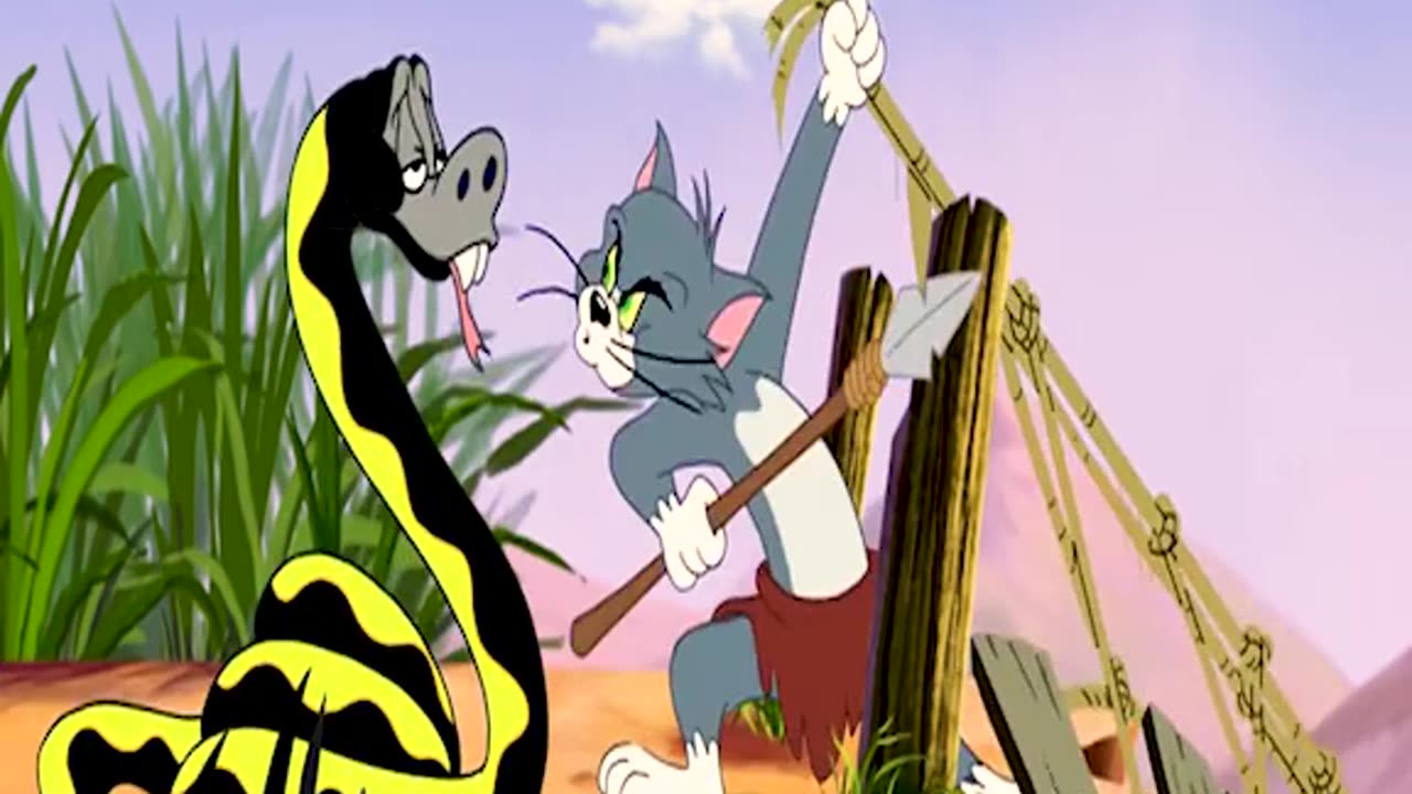 Funny videos Tom and Jerry 😂 cartoon kisds