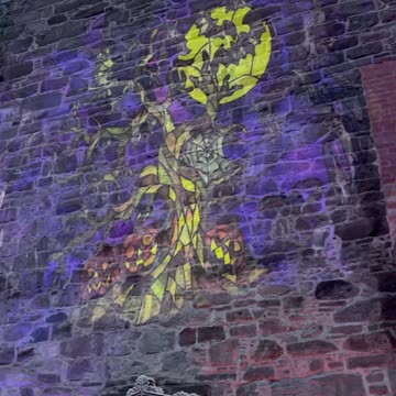 Haloween #witch#images#rumble viral