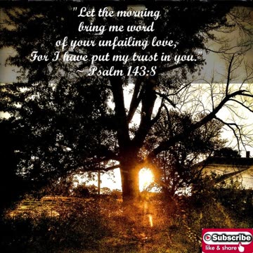 Morning Prayer to Trust God #youtubeshorts #jesus #grace #mercy #faith #blessed #fyp #trust #love