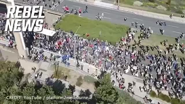 Massive Crowd Walking Toward Parliament in Canberra Australia