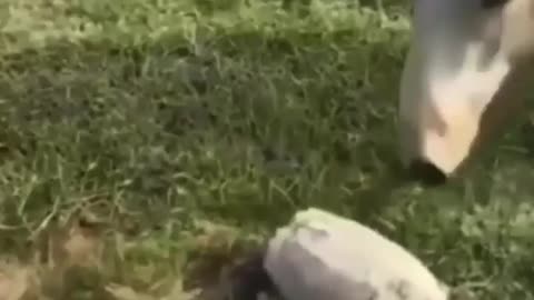 😄😁😆🤣