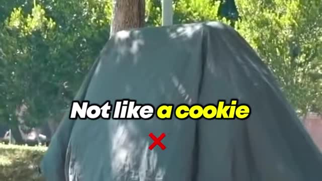 🤣🤣