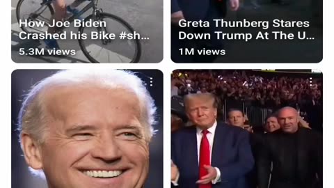 Why do you love Donald Trump?