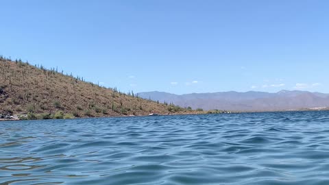 Floating in the Lake