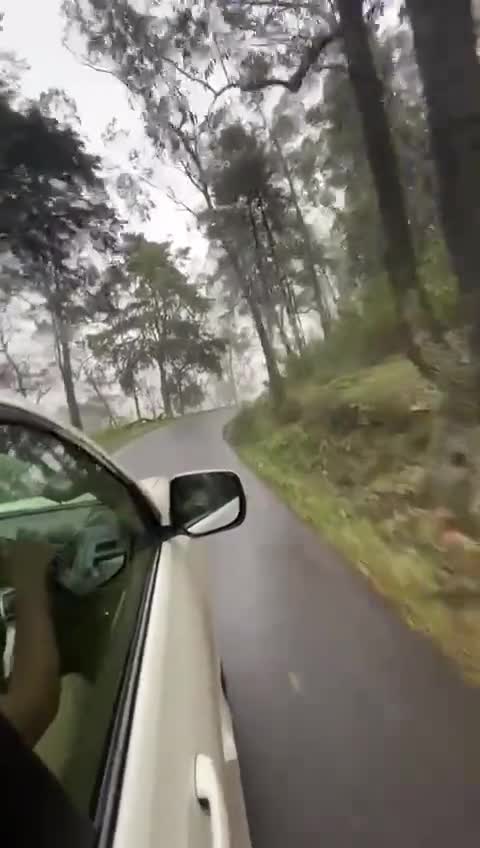 Mood 😍 Nuwara Eliya Visit Sri Lanka
