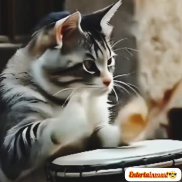 Viral🔥 funny😝 video