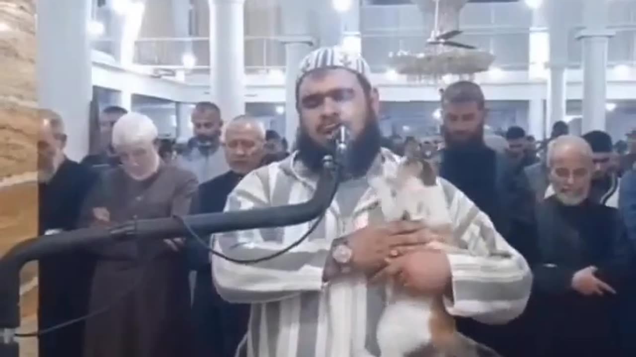 Cat kissing Imam