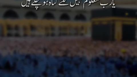 Quran recitation