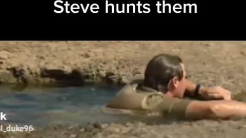 They don't hunt Steve.Steve hunts them