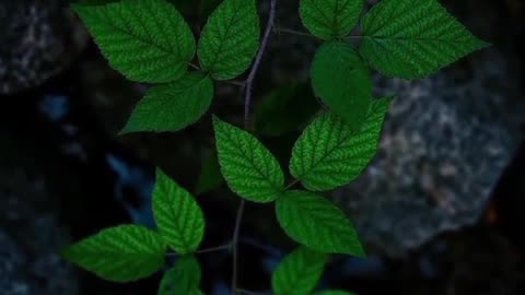 This is Feel 🌧 Tag YoUR FaV........