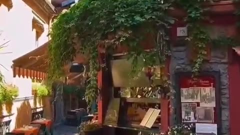 JUST SIGHTS AND SOUND! ENJOY!