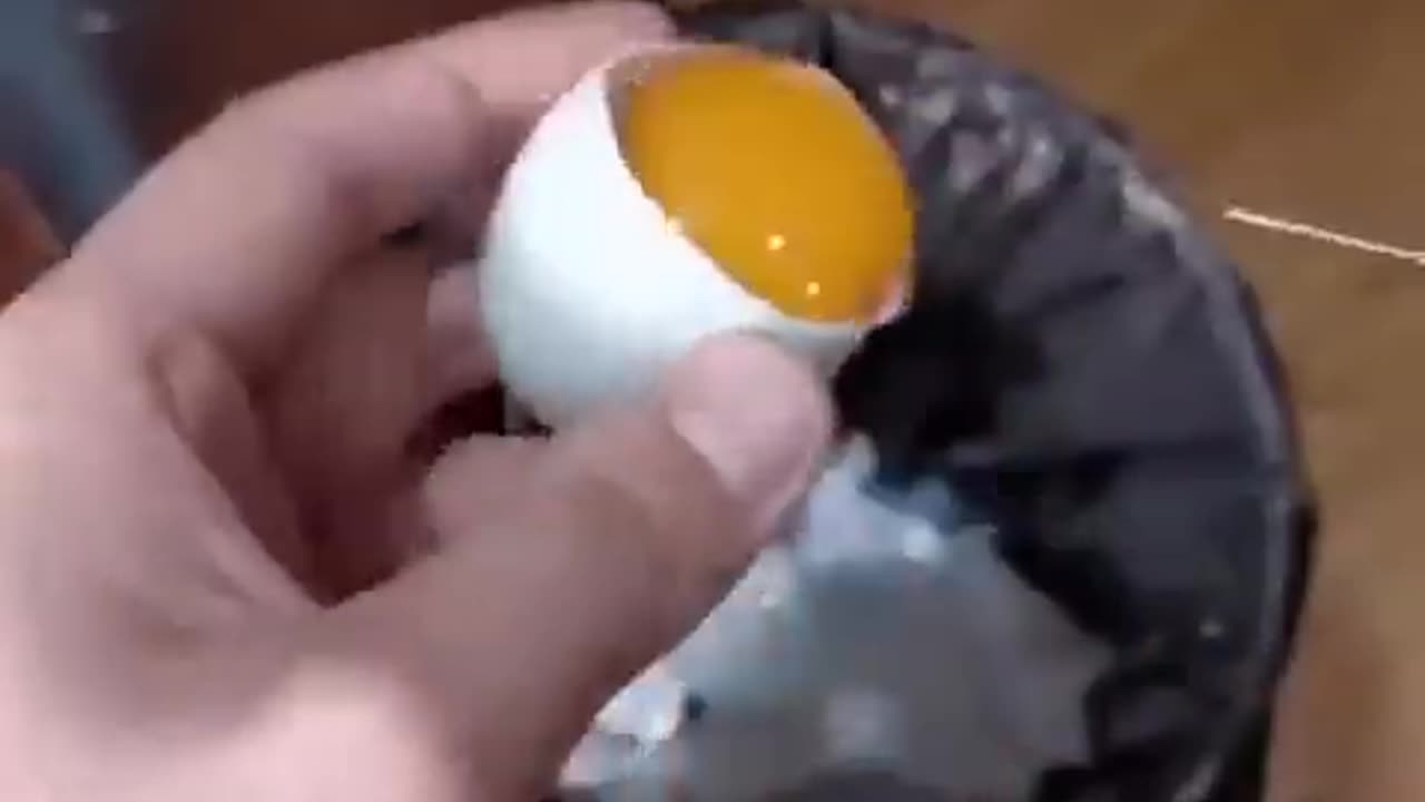 How A Chick Born From A Egg 🐣 - Interesting Video - 😱