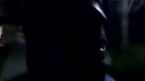 **THE BEST PROPHECY I HAVE EVER HEARD!!** Derek Kube, March 29, 2023, 9:04pm finished.