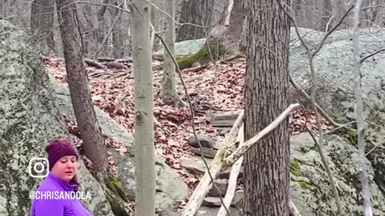 AGGRESSIVE REACTION!