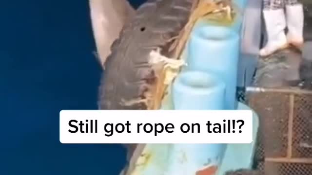 #oceans #