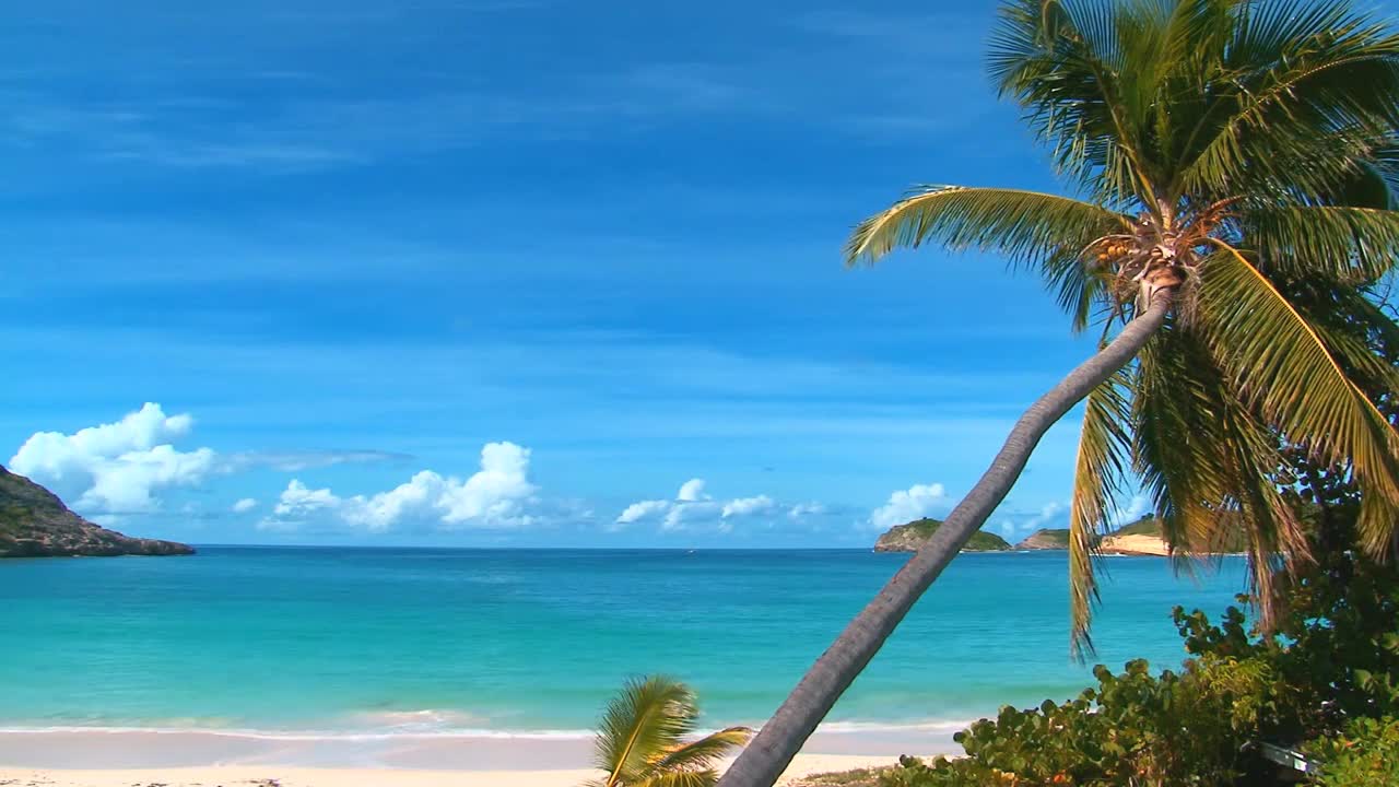 Waves Crashing on a Tropical Beach