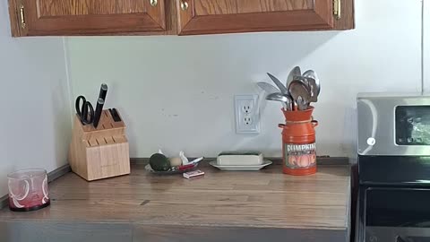 Kitchen is cleaner!