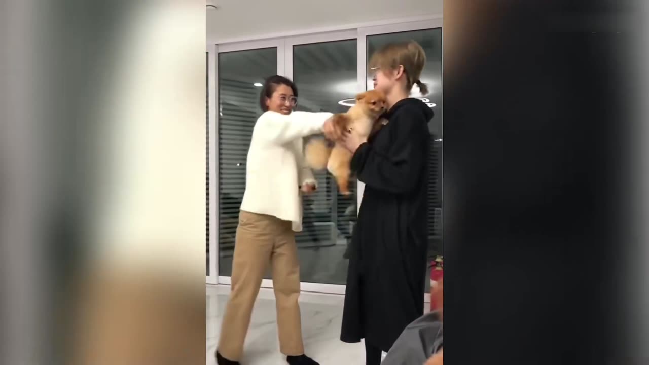 The Confusing Behavior of Animals 104