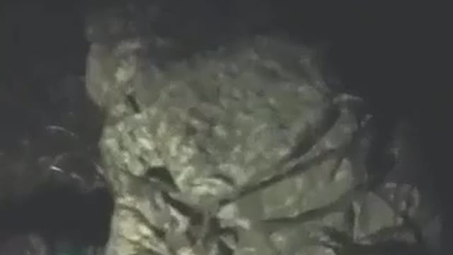 Soldier films deleted enemies at night