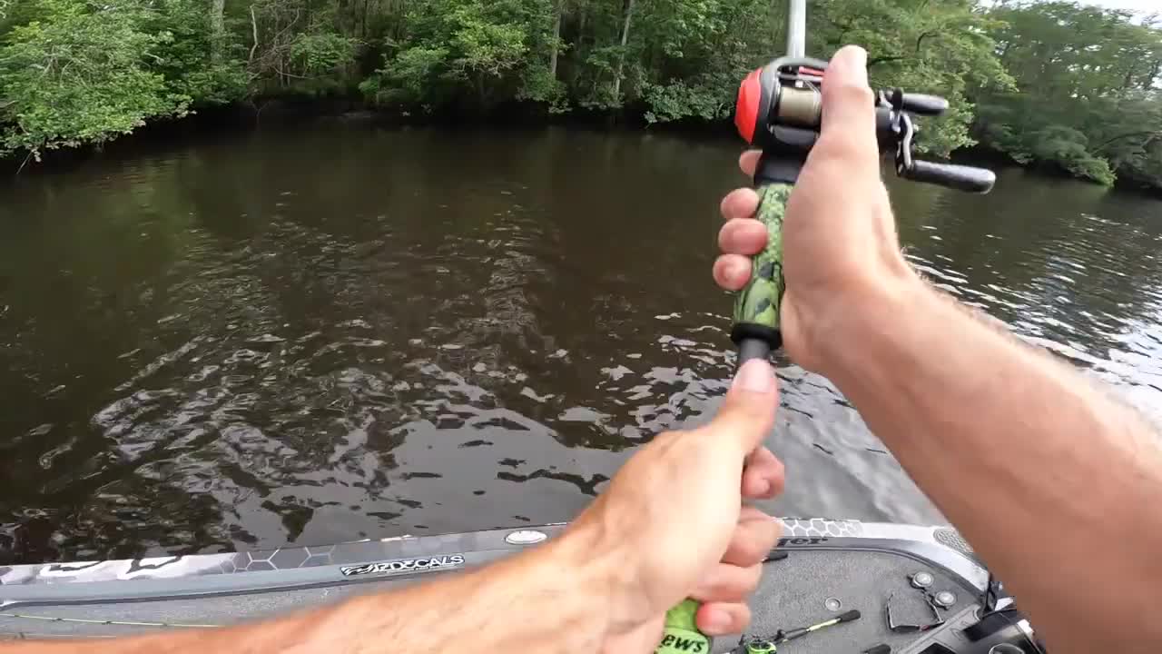 Topwater FROG Fishing HIDDEN Creeks for BIG BASS!!!