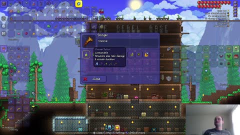 Gotta Bee Brave; Terraria, Expert Drunk World; Ep 48