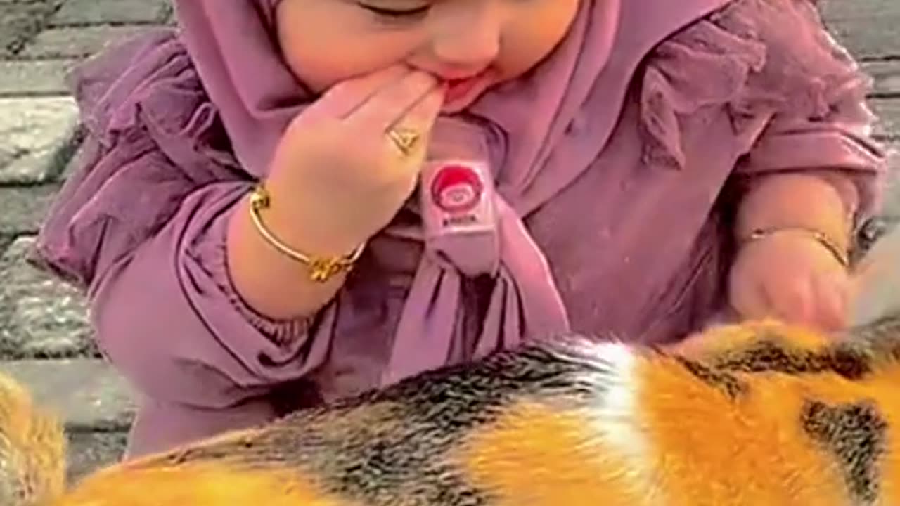 My cat 😸 and baby funny video