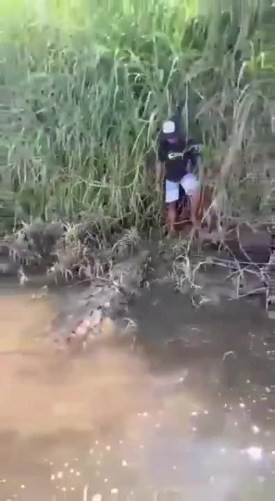 MONSTER ALLIGATOR