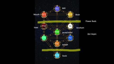 050 - The Zohar A to B – Verses 1 – 5 Tree of Life