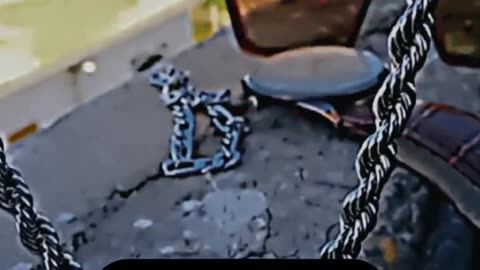 Best video