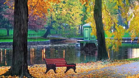 the autumn