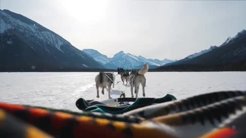 Going dog sledding across a frozen lake in the mountains was an experience I won’t soon forget