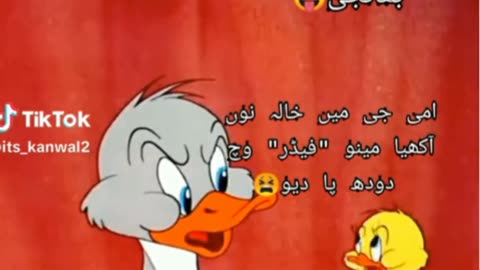 Funny Video