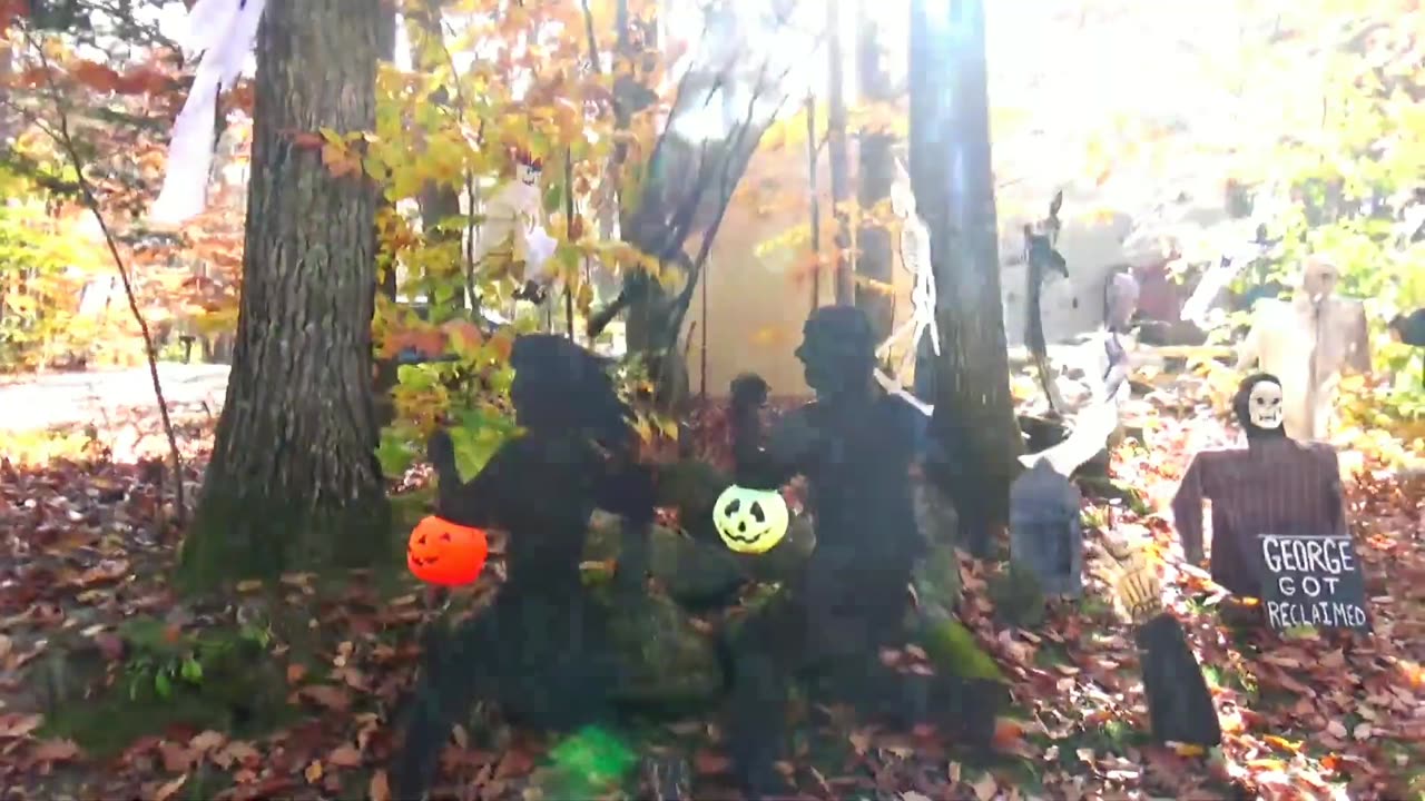 Halloween Decorations