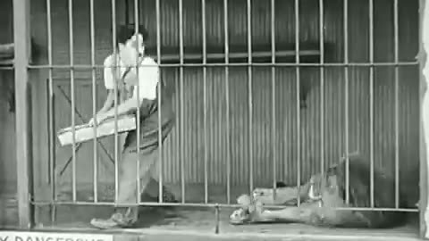 Charlie Chaplin - The Lion's Cage