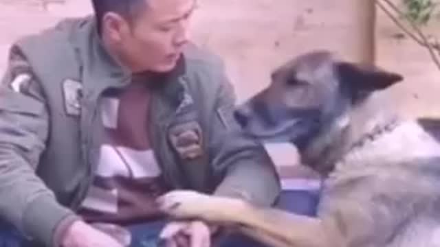 Dog stops Owner from killing a Duck.