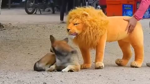 fake lion prank on animals