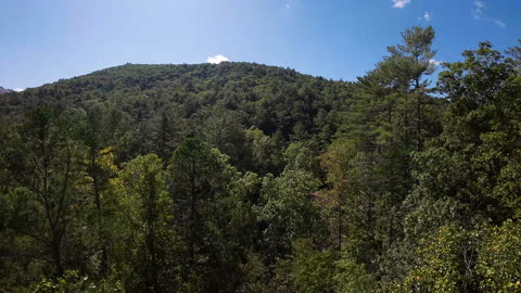 Freestyling with the Avata - Stone Mountain