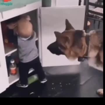 baby training dog training same thing full circle