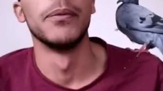 weed dove